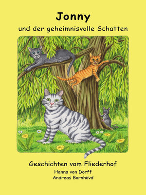 cover image of Jonny und der geheimnisvolle Schatten